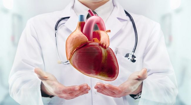 Sağlam ürəyin sirrləri