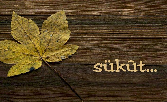 Sükutun İnsanın Mənəvi Həyatındakı Yeri